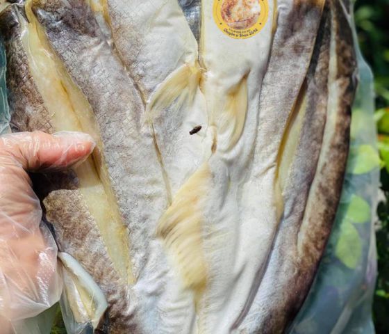 KHÔ CÁ DỨA KHÚC