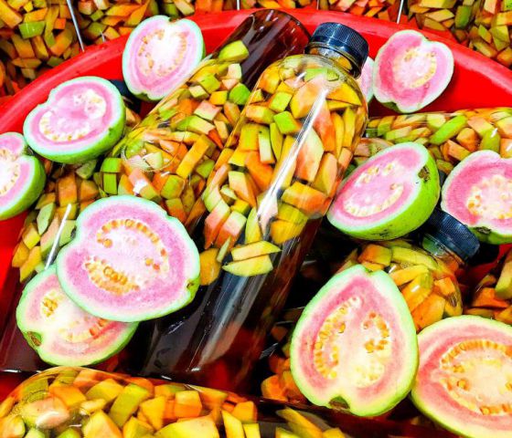 TRÀ OLONG ỔI
